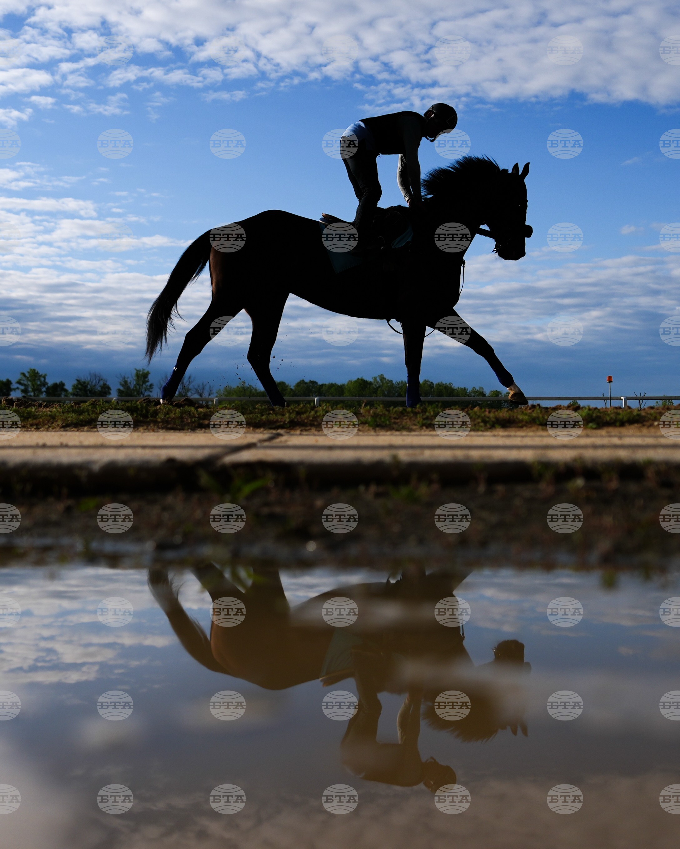 Black Eyed Susan Horse Racing
