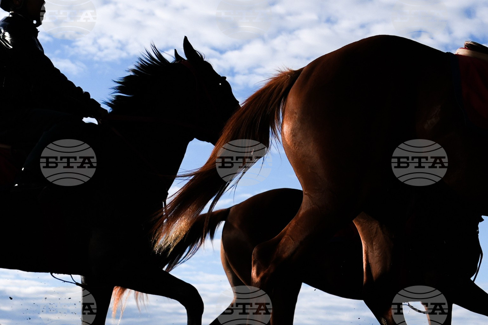 Black Eyed Susan Horse Racing