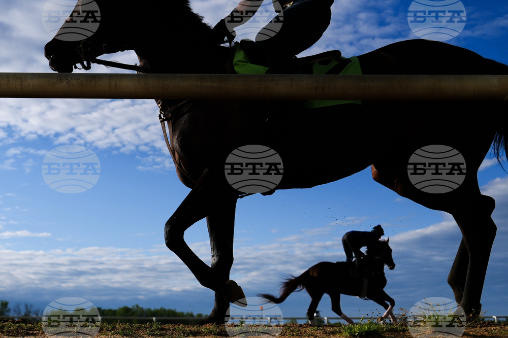 Black Eyed Susan Horse Racing