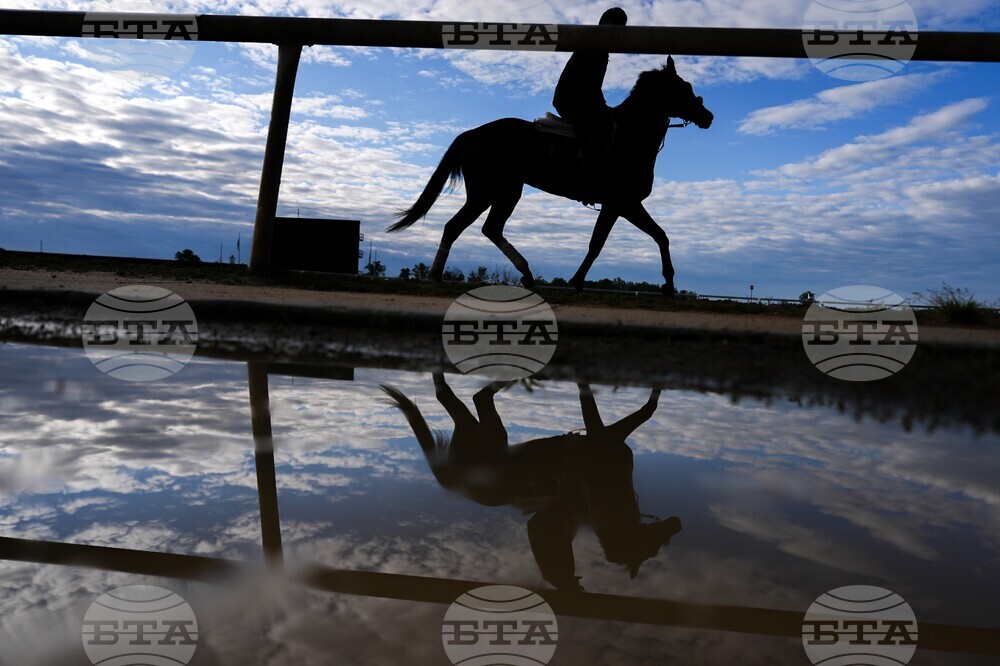 Black Eyed Susan Horse Racing