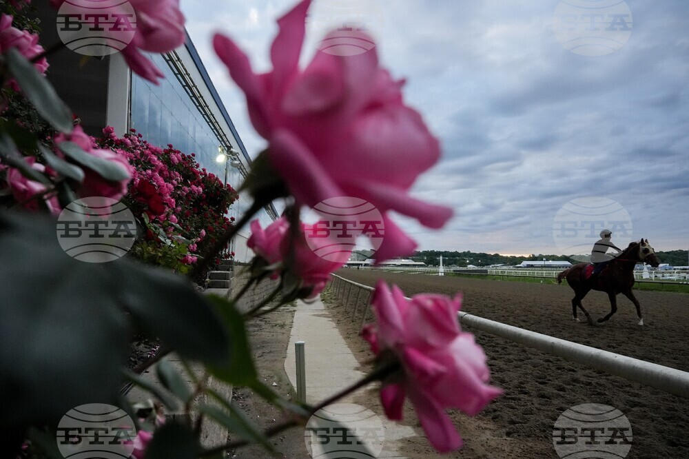 Black Eyed Susan Horse Racing