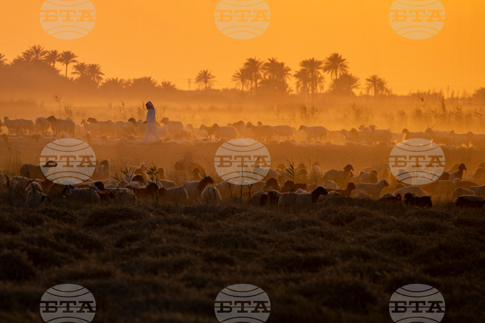 Iraq Daily Life