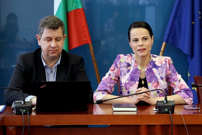 Министър Ивкова на среща с РЗИ: Единствената опция за извънредна обработка срещу комари е чрез здравните инспекции