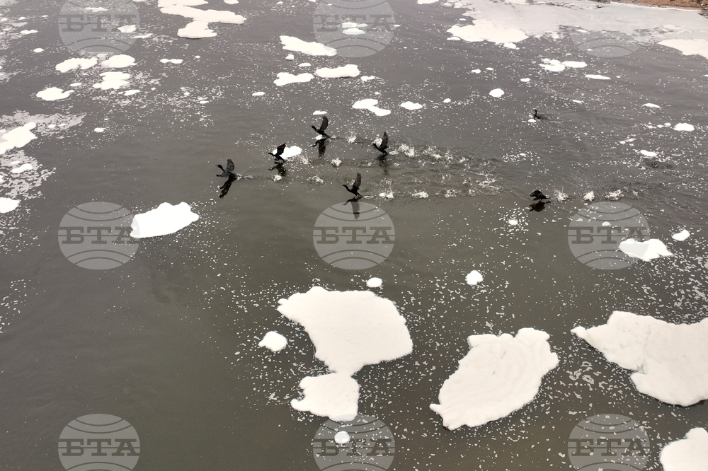 Brazil Polluted River