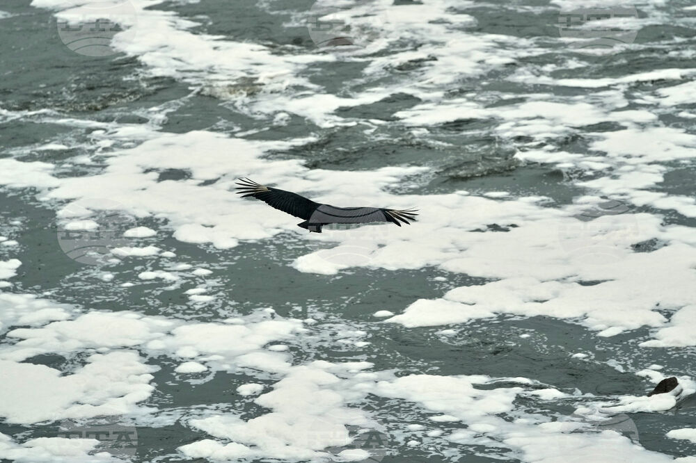 Brazil Polluted River
