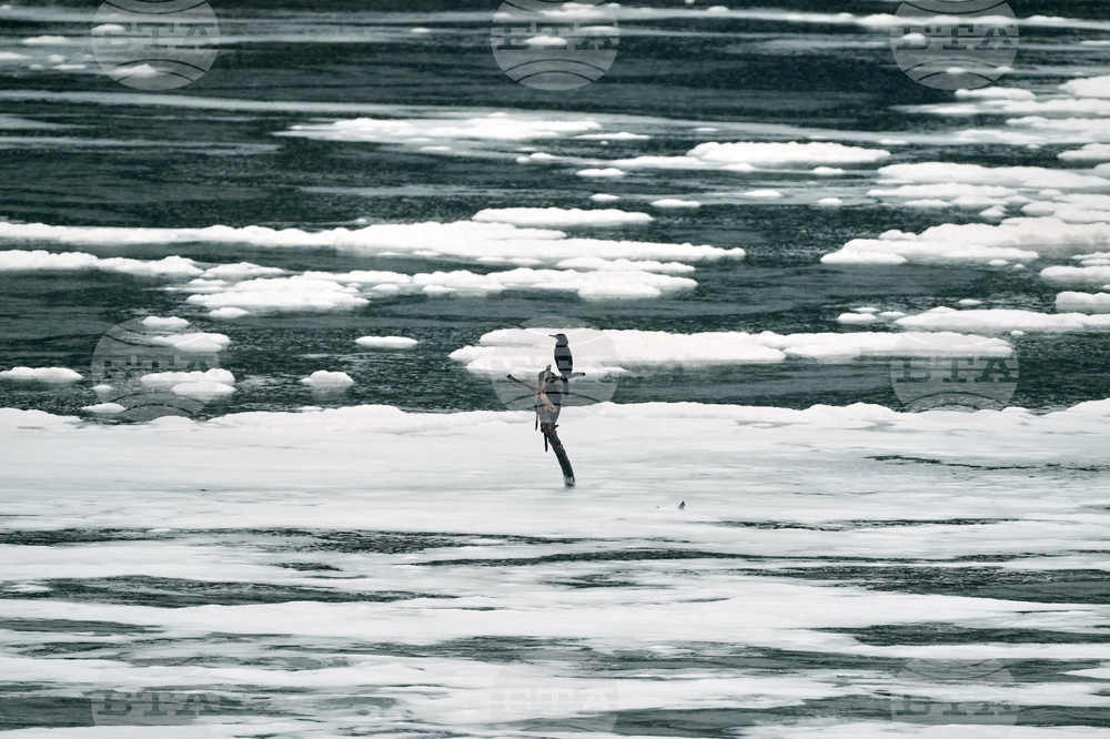 Brazil Polluted River
