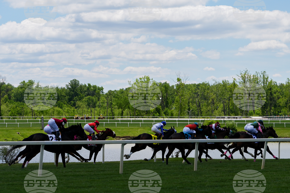 Black Eyed Susan Horse Racing
