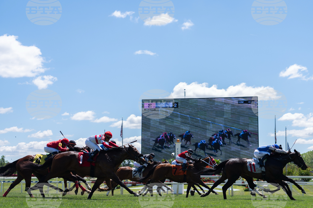 Black Eyed Susan Horse Racing