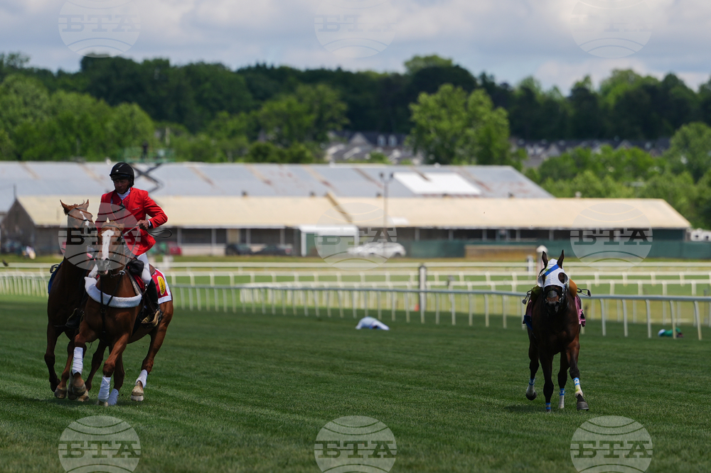 Black Eyed Susan Horse Racing