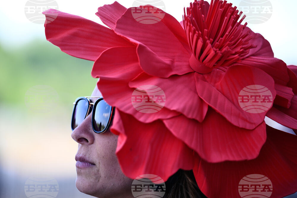 Black Eyed Susan Horse Racing