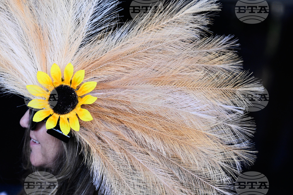 Black Eyed Susan Horse Racing