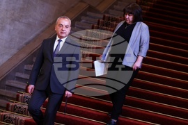 Министерски съвет - Гълъб Донев - Росица Велкова - изявление