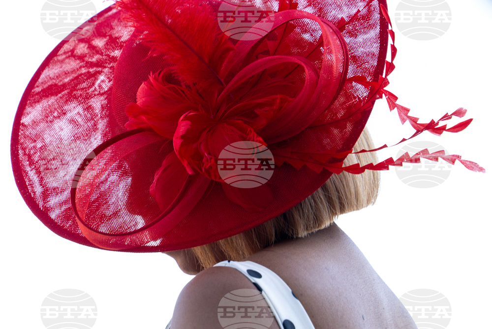 Black Eyed Susan Horse Racing