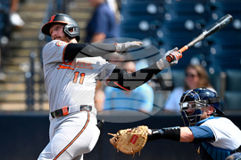 Orioles Westburg Baseball