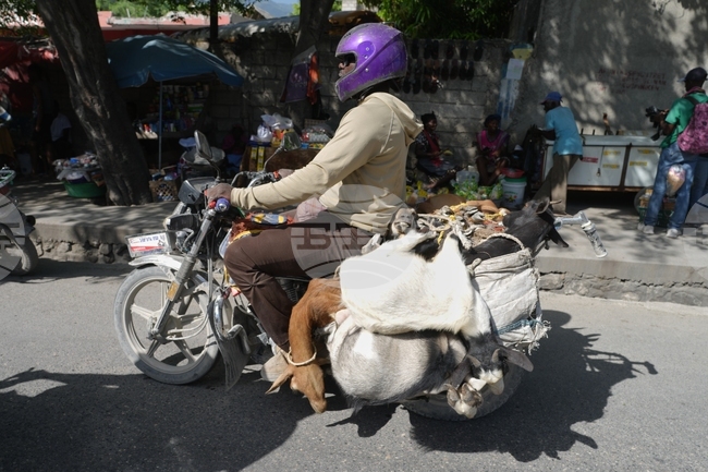 Haiti Daily Life