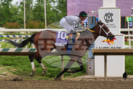 Black Eyed Susan Horse Racing