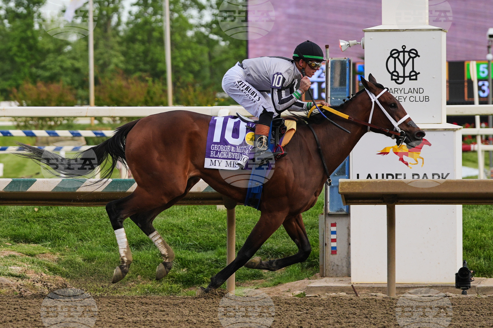 Black Eyed Susan Horse Racing