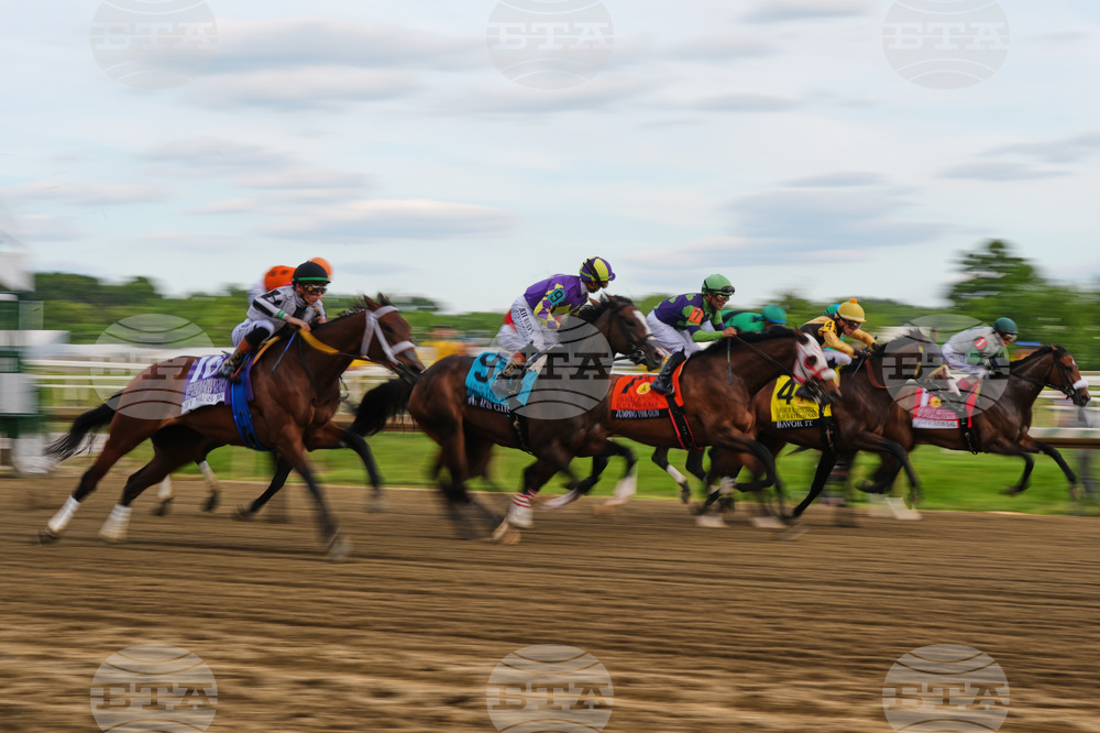 Black Eyed Susan Horse Racing