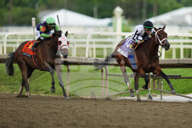 Black Eyed Susan Horse Racing