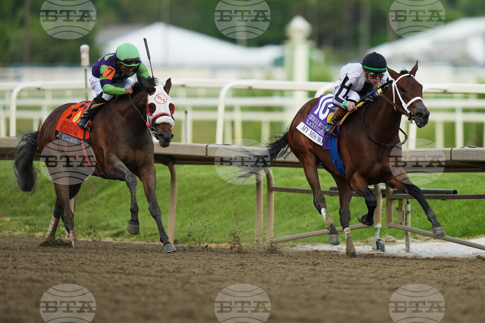 Black Eyed Susan Horse Racing