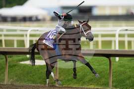Black Eyed Susan Horse Racing