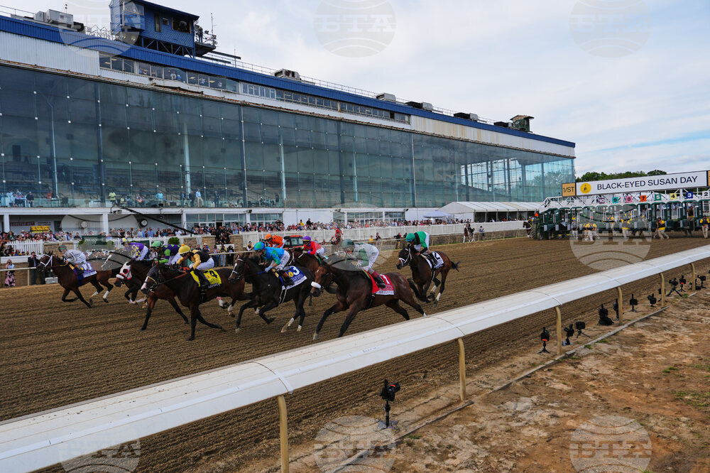 Black Eyed Susan Horse Racing