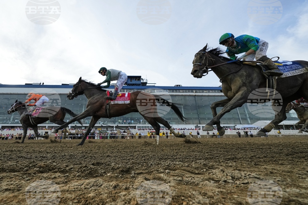 Black Eyed Susan Horse Racing