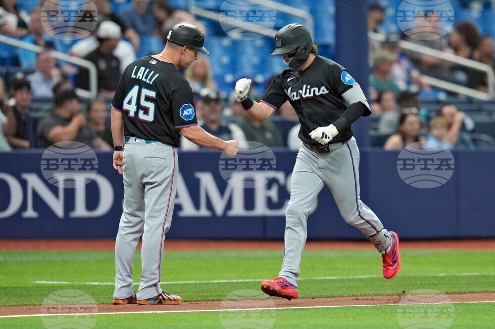 Marlins Rays Baseball
