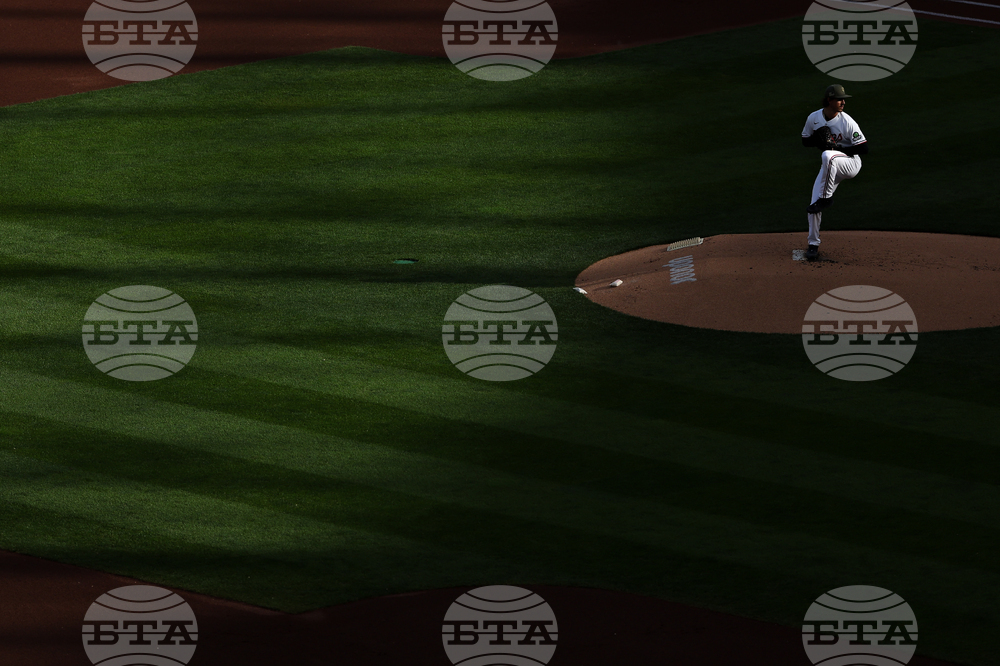 Brewers Twins Baseball