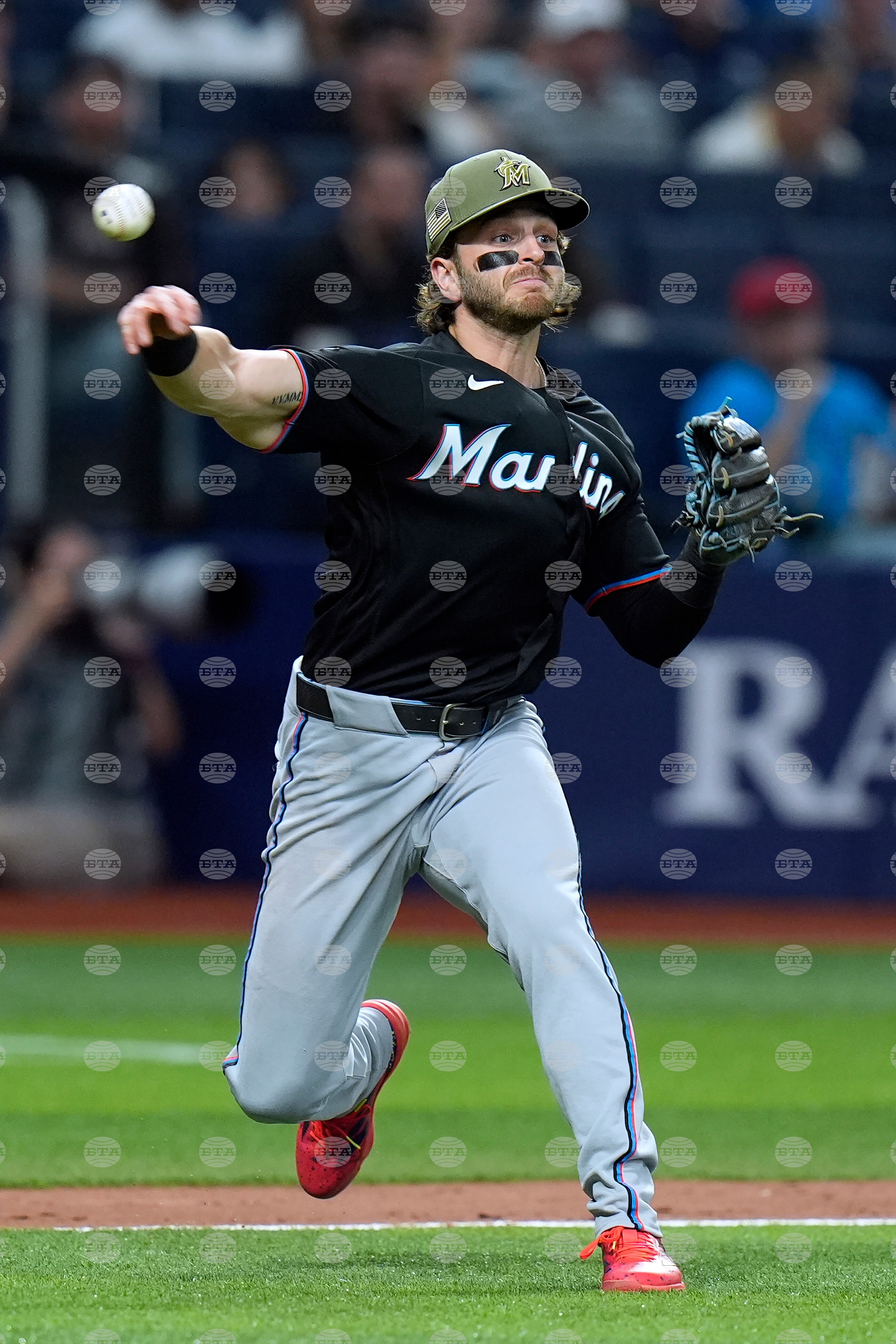 Marlins Rays Baseball