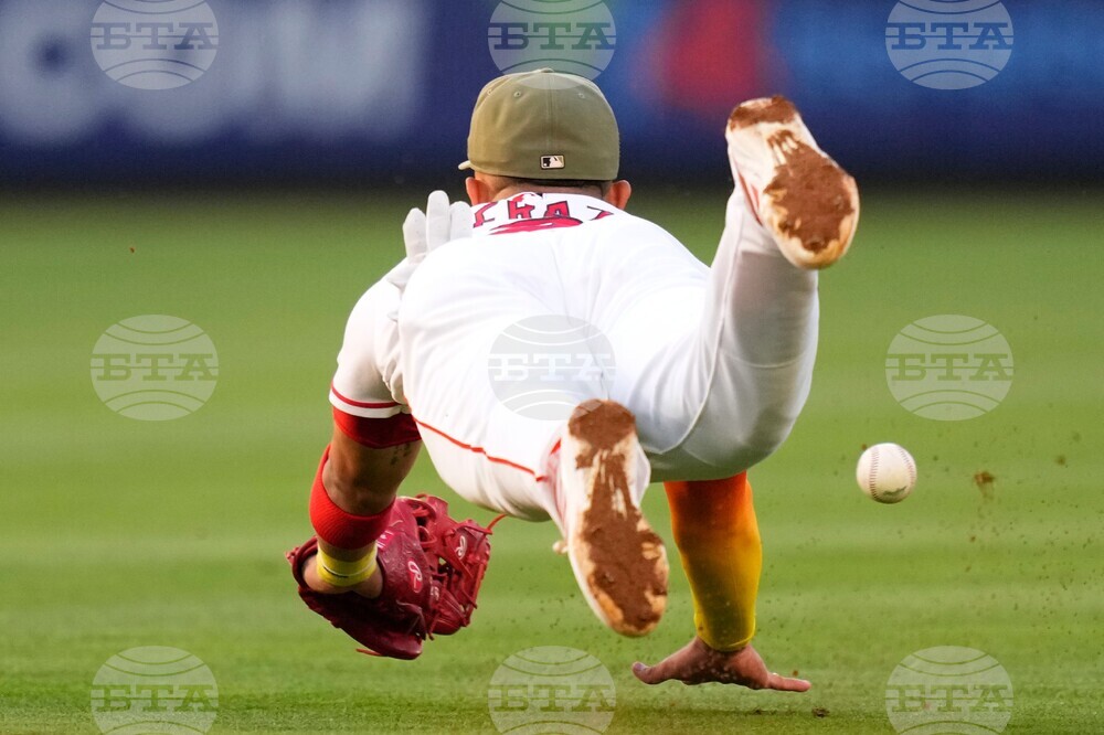 Dodgers Angels Baseball