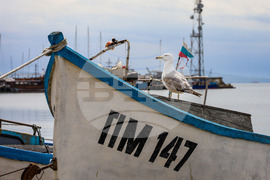 Поморие - пристанище - лодки