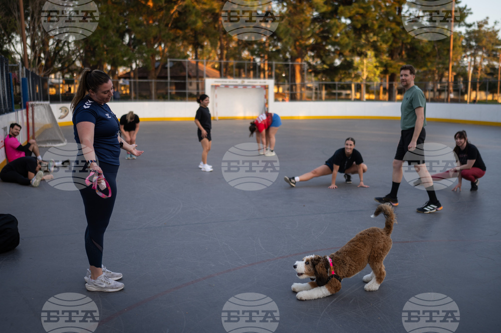 Women's Handball