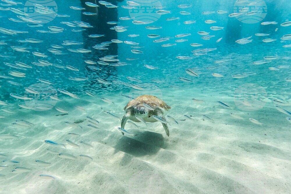 Curacao Tourism
