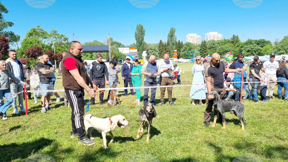 Търговище - киноложка изложба