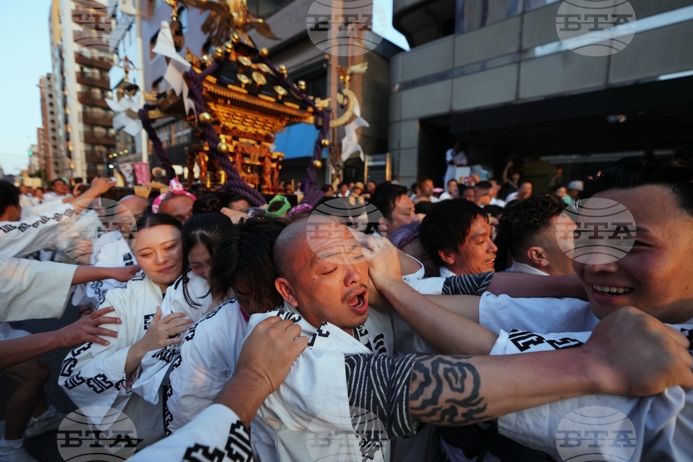 Japan Sanja Festival