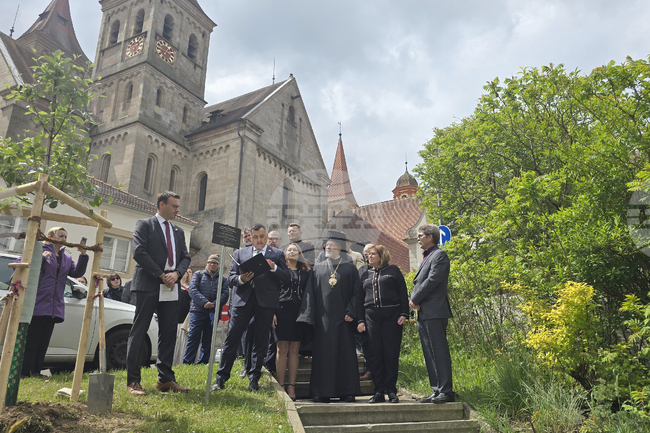 Tree of Friendship Between Bulgaria and Baden-Wuerttemberg Planted in Ellwangen