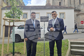 Германия - Елванген - Методиев ден - засаждане на дърво