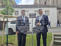 Германия - Елванген - Методиев ден - засаждане на дърво