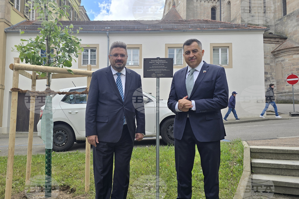 Германия - Елванген - Методиев ден - засаждане на дърво