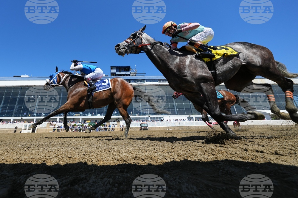 Preakness Horse Racing