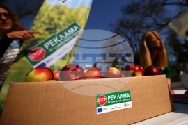 Стоп реклама - инициатива