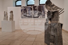 Варна - Радостин Дамасков - изложба