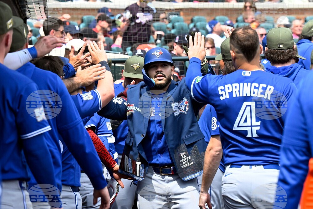 Blue Jays Tigers Baseball