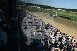 Preakness Horse Racing