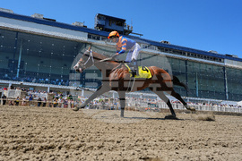 Preakness Horse Racing