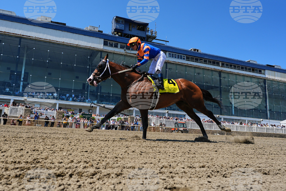 Preakness Horse Racing
