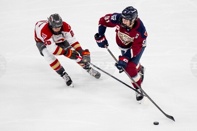 PWHL Victoire Charge Hockey