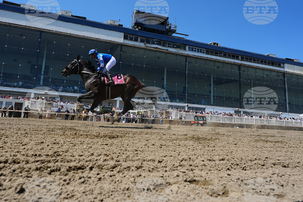 Preakness Horse Racing