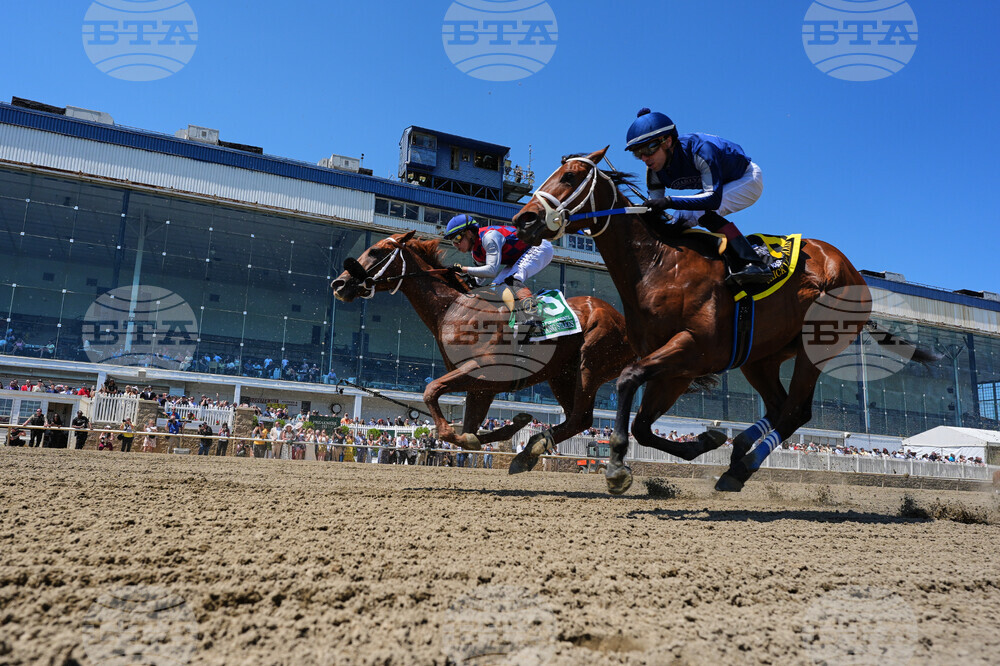 Preakness Horse Racing